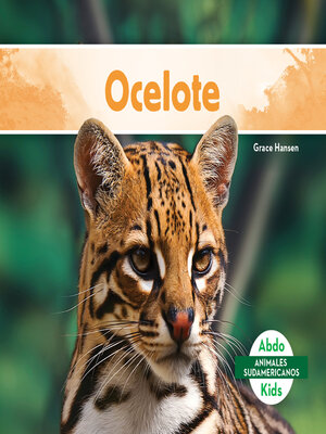 cover image of Ocelote